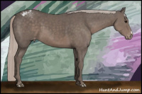 Horse Color:Silver Brown Snowcap