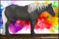 Horse Color:Liver Red Roan Sabino 