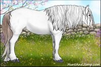 Horse Color:Bay Splash Frame Appaloosa