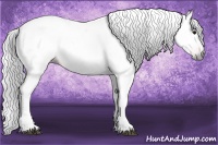 Horse Color:Gray Bay 