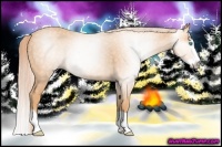 Horse Color:Gray Cremello Splash 