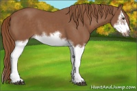 Horse Color:Chestnut Splash Frame 