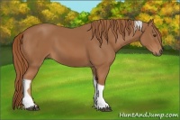 Horse Color:Chestnut Tobiano Rabicano 