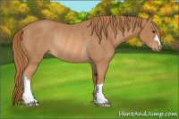 Horse Color:Chestnut Rabicano