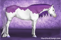 Horse Color:Watercolor Bay Splash 