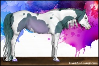 Horse Color:Watercolor Brown Splash Tobiano