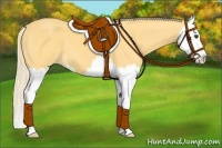 Horse Color:Palomino Splash 