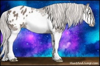 Horse Color:Silver Grullo Splash Frame Blanket 