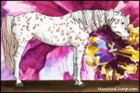 Horse Color:Watercolor Chestnut Leopard 