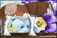 Horse Color:Chestnut Splash 