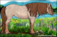 Horse Color:Liver Red Dun Roan 