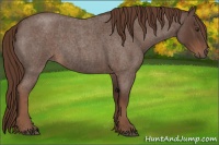 Horse Color:Liver Red Roan 