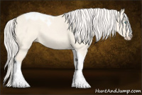 Horse Color:Cremello Dun Tobiano 