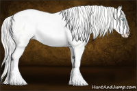 Horse Color:Cremello Dun Sabino Tobiano 