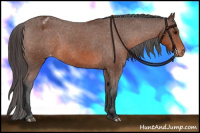 Horse Color:Bay Sabino Appaloosa