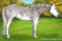 Horse Color:White Spotted Silver Brown Splash 