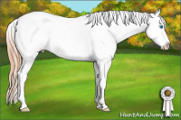 Horse Color:White Spotted Gold Champagne Splash Frame Appaloosa 