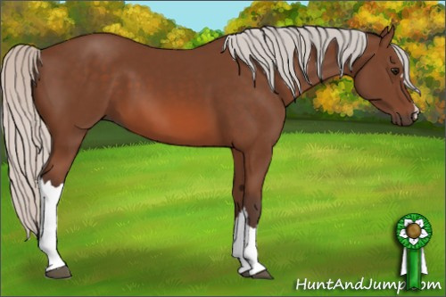 Horse Color: Silver Bay 