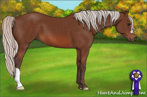 Horse Color: Silver Bay 