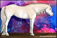 Horse Color:Chocolate Palomino Roan Pearl Sabino Splash 