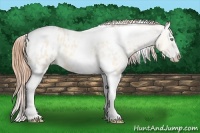 Horse Color:Amber Champagne Roan Dun Splash Tobiano Appaloosa 