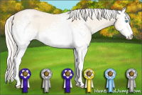 Horse Color:White Spotted Cremello Dun