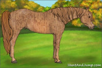 Horse Color:Chestnut Splash Frame Brindle
