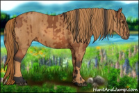 Horse Color:Bay  Brindle