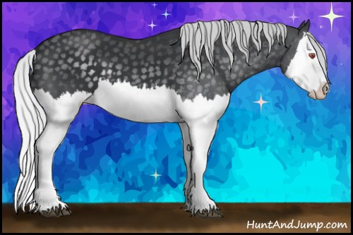 Horse Color: Silver Black Chinchilla Splash 
