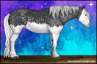 Horse Color:Silver Black Chinchilla Splash 