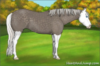 Horse Color:Silver Smoky Black Splash