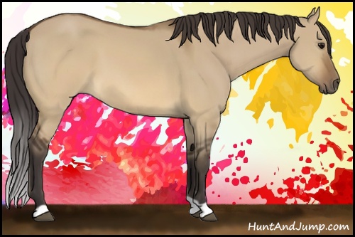 Horse Color: Buckskin Dun 