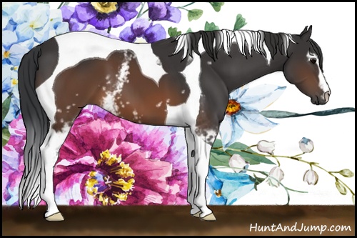 Horse Color: White Spotted Brown Tobiano 