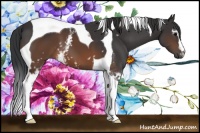 Horse Color:White Spotted Brown Tobiano 