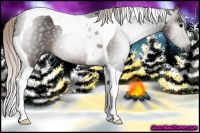 Horse Color:Gray Silver Brown Tobiano 