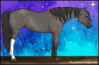 Horse Color:Grullo Rabicano 