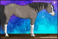 Horse Color:Grullo Splash Rabicano 