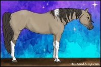 Horse Color:Smoky Grullo Tobiano 