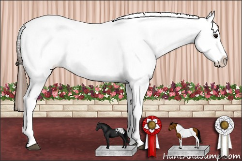Horse Color: Grullo Splash Tobiano Blanket 