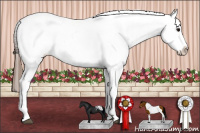 Horse Color:Grullo Splash Tobiano Appaloosa 