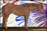 Horse Color:Chestnut  Brindle