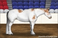 Horse Color:White Spotted Bay Frame 