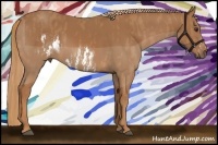 Horse Color:Chestnut Splash Frame  Brindle