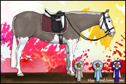 Horse Color: Silver Smoky Black Sabino Splash 