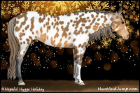 Horse Color:Buckskin Near Leopard 