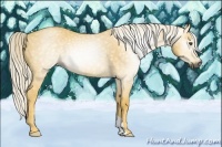 Horse Color:Gray Palomino Dun 