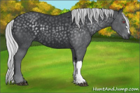 Horse Color:Silver Black Chinchilla