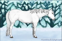 Horse Color:Gray Chestnut Frame 
