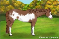 Horse Color:Chestnut Frame 