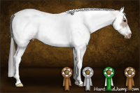 Horse Color:White Spotted Bay Splash Tobiano Frame Appaloosa 
